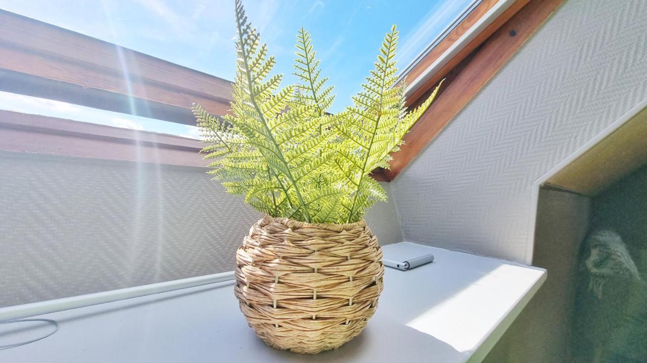 L'Evasion - Balcon - Fibre - Calme - Rbnb Bollwiller Exterior photo